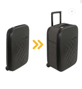 Rollink 21” Flex Earth Carry On Luggage