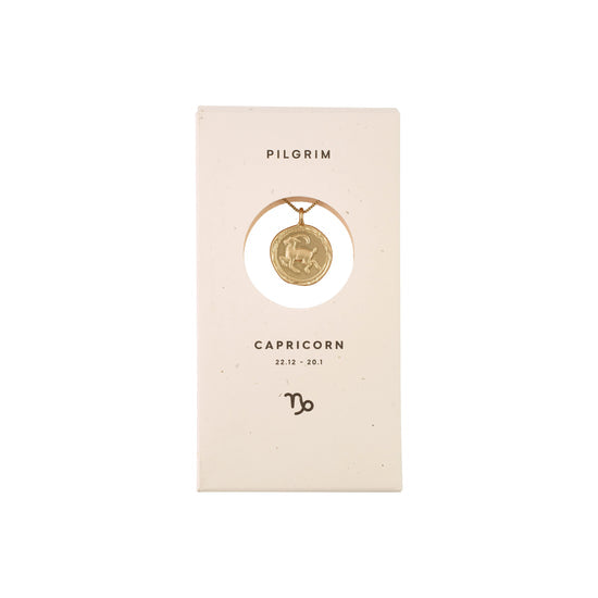 Pilgrim Capricorn Horoscope Double Sided Necklace